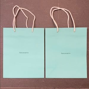 Tiffany & co shopping bag